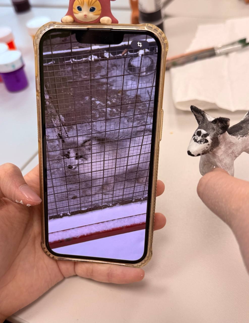 017MTKKr2sZxoNsLPH6yjhJSpAaSCFPM42yPwlKNWfU4pEUeUkc8XvLYb0RaZRGcs XCqp 1 gS1hFvp6M4gb XT